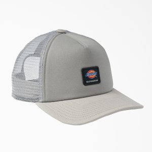 A865V Dickies Skateboarding Trucker Hat