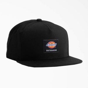WHR106 Dickies Skateboarding Mid Pro Cap